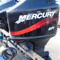 Image of 2003 Mercury 150 EFI XL