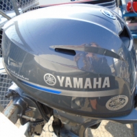 Image of 2019 Yamaha F25LWTC