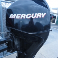 Image of Mercury 40ELPT EFI Big Foot